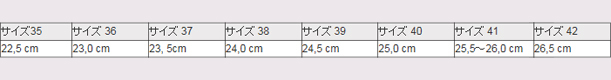 サイズ換算表