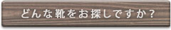 どんな靴をお探しですか？